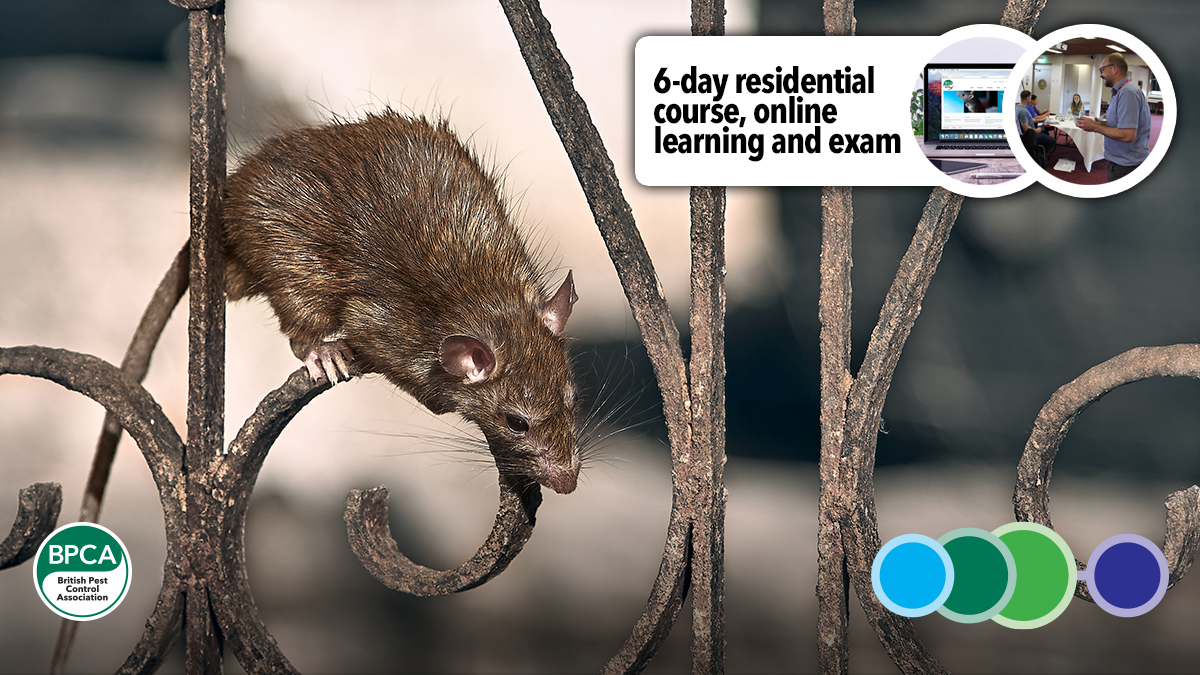 Level 2 Pest Management 5day residential course and exam